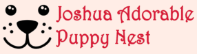 Joshua Adorable Puppy Nest